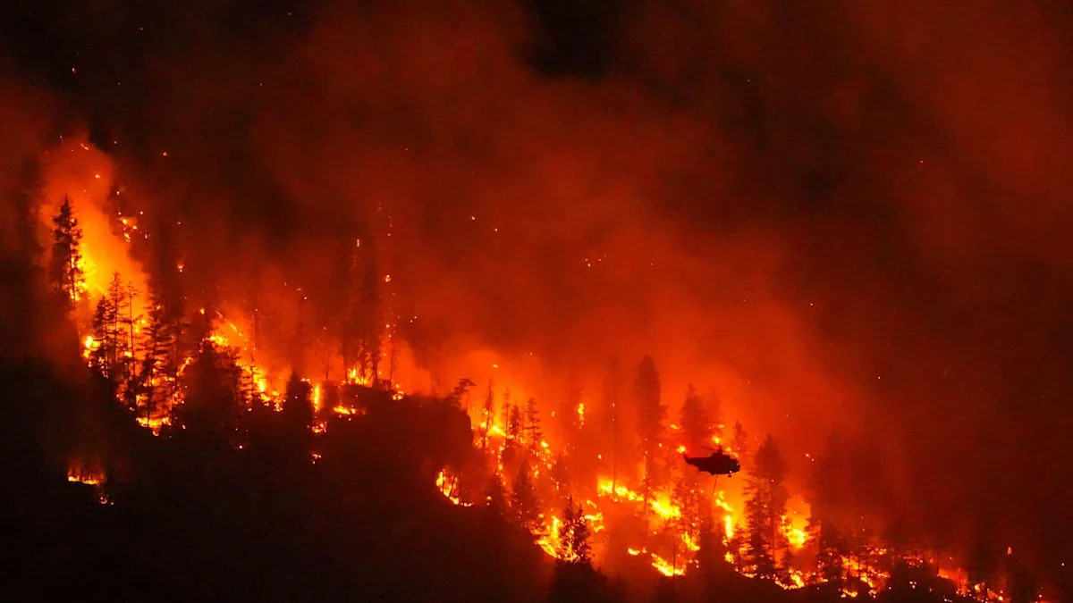 Canada Declares Emergency: British Columbia Wildfires Force Mass Evacuations
