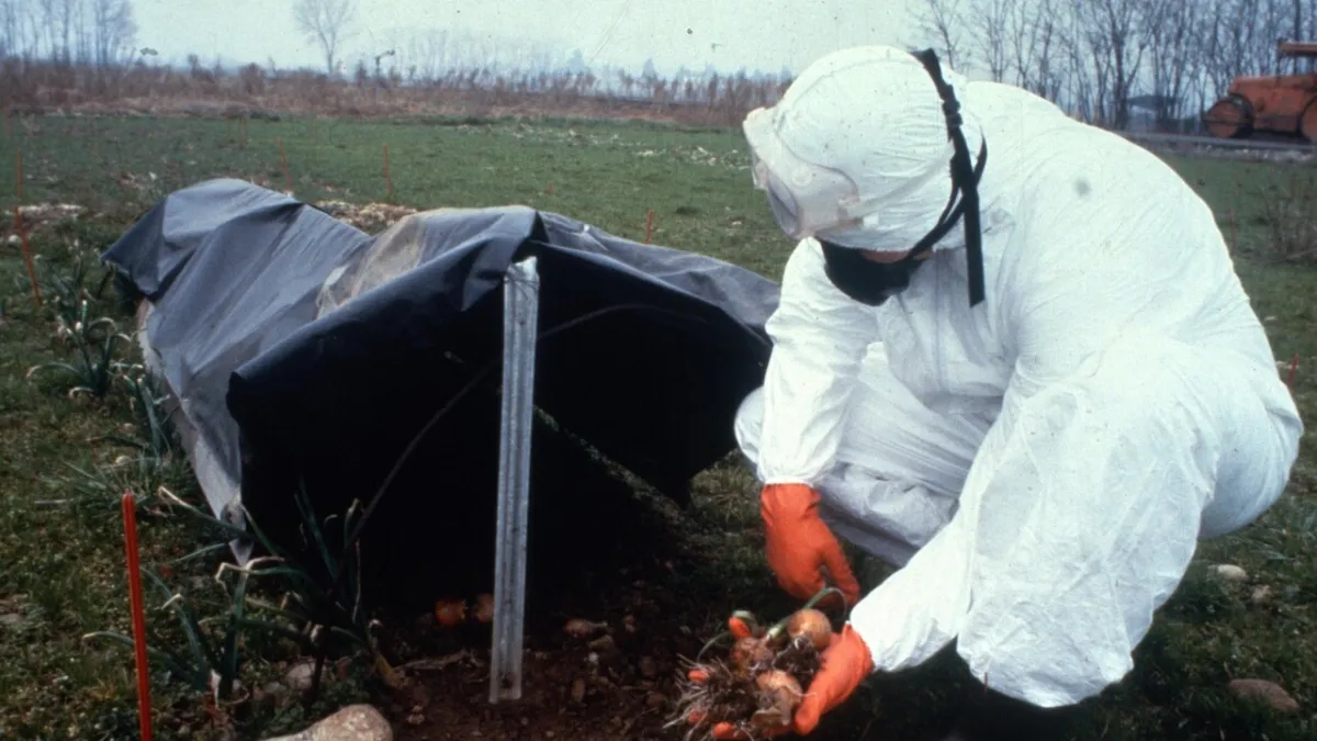 Seveso 50 Years: From Dioxin Tragedy to Italy's Enduring Environmental Legacy