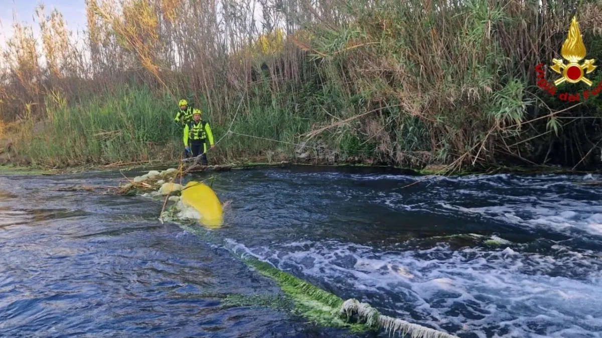 Tagliamento River Tragedy: Father Dies, Toddler Critical After Swim