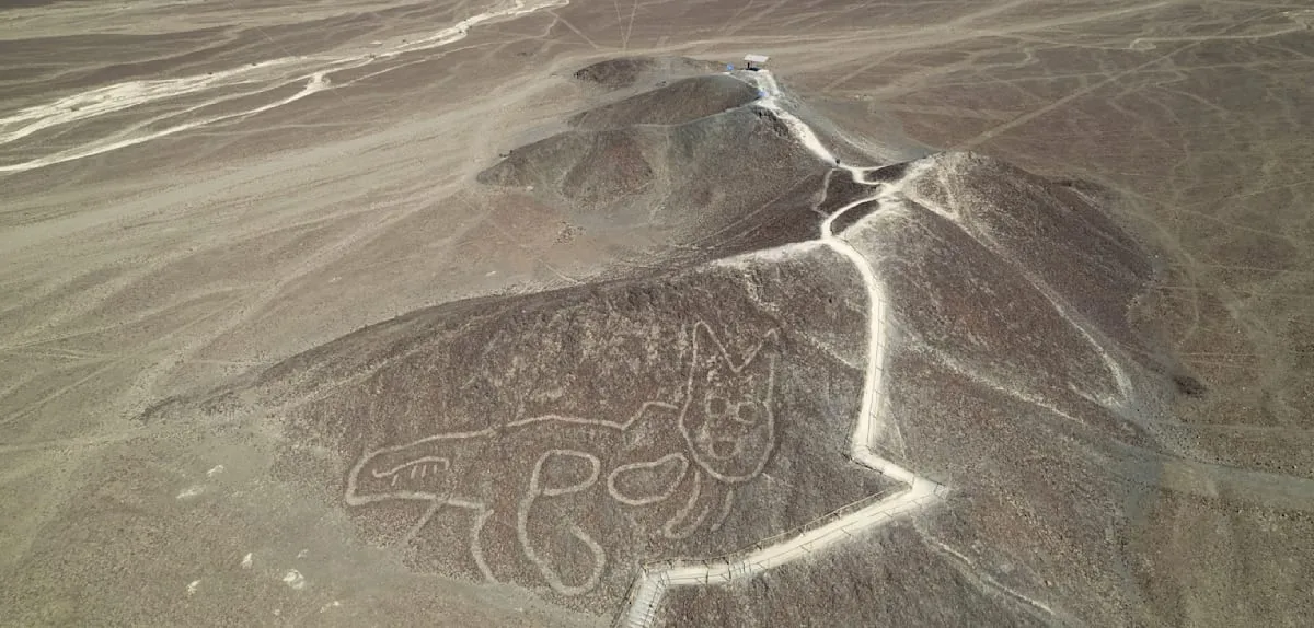 Horor Langit Nazca: 13 Tewas, Dua Turis Jerman Jadi Korban Tragis