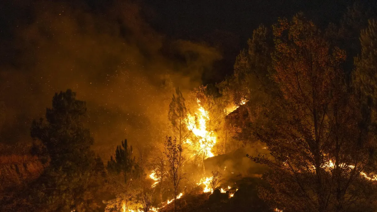Andalusia Merana: Kebakaran Hutan Dahsyat Renggut 11 Nyawa Tragis