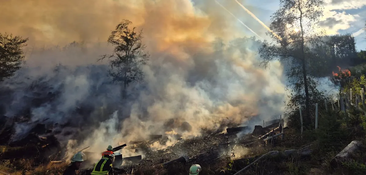 Eropa Membara: Kebakaran Hutan Landa Saarland, Spanyol Deklarasi Darurat