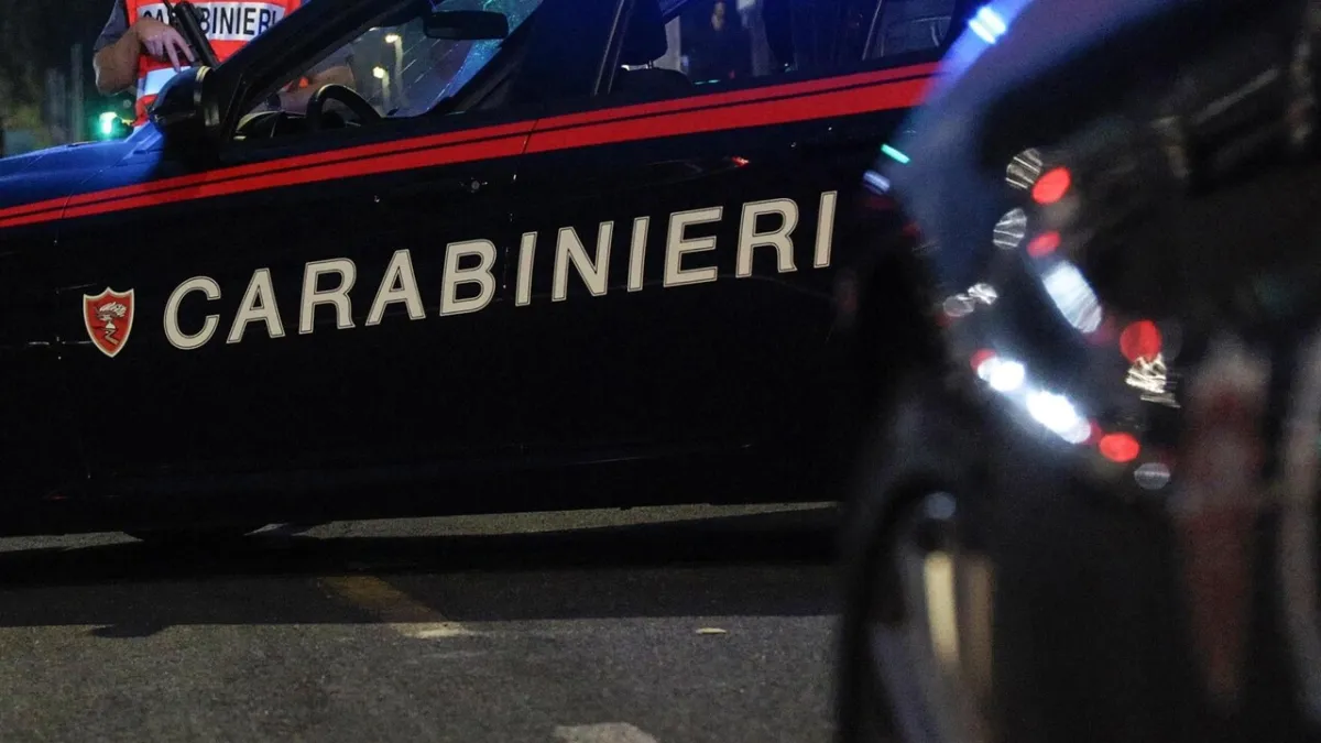 Val d'Ossola Drama: Woman Critical, Ex-Partner Arrested Post-Stabbing