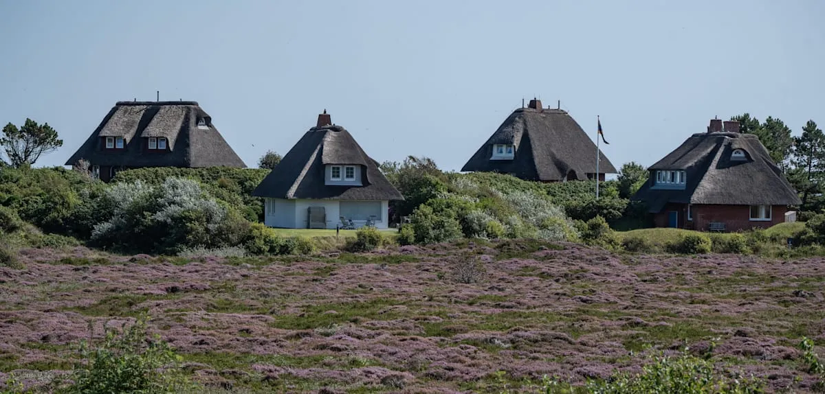 Sylt Memanas: Perang Apartemen Ilegal Ancam Identitas Pulau Liburan Jerman