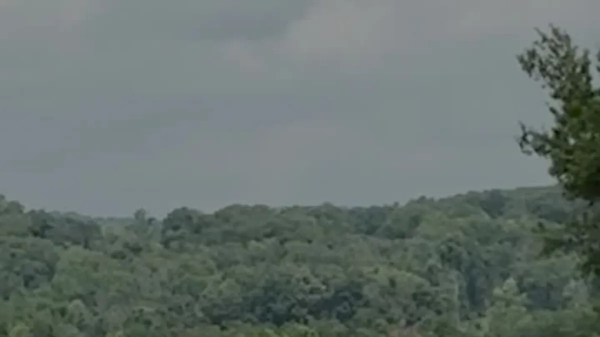 Donald Trump's Golf Video Goes Viral: Ball Allegedly 'Remote-Controlled'!