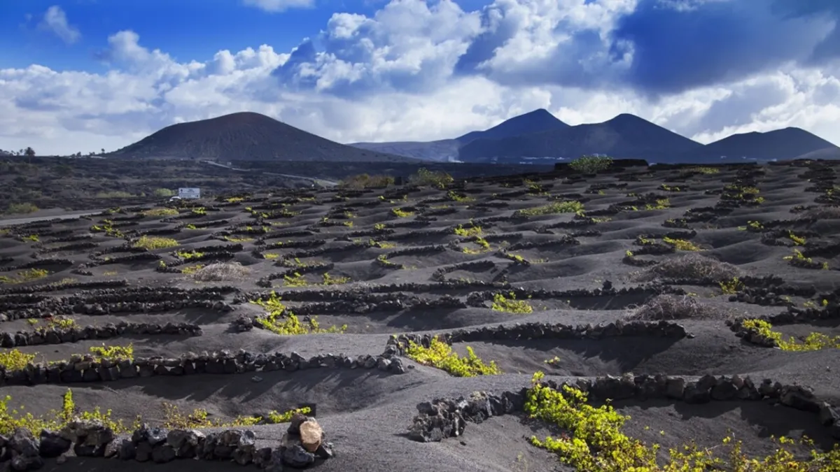 Lanzarote Raih Pengakuan FAO: Kuliner Vulkanik Berkelanjutan Pukau Dunia