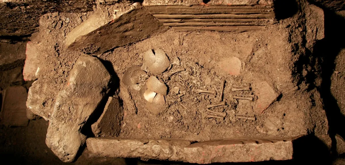 Shocking Discovery: Archaeologists Uncover Tragic Twin Infants in Ancient Latrine