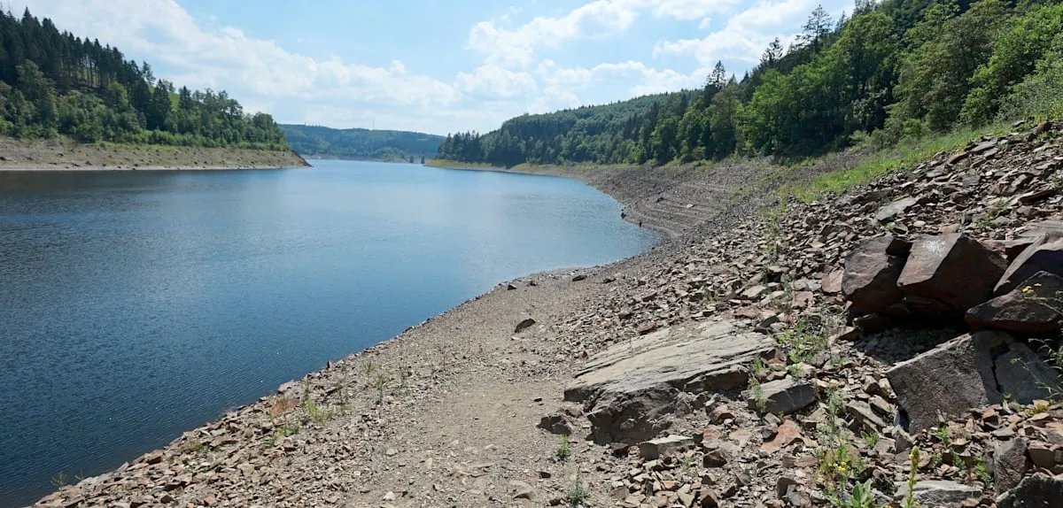 Water Emergency in Harz: Extraction Ban to Protect Ecosystems