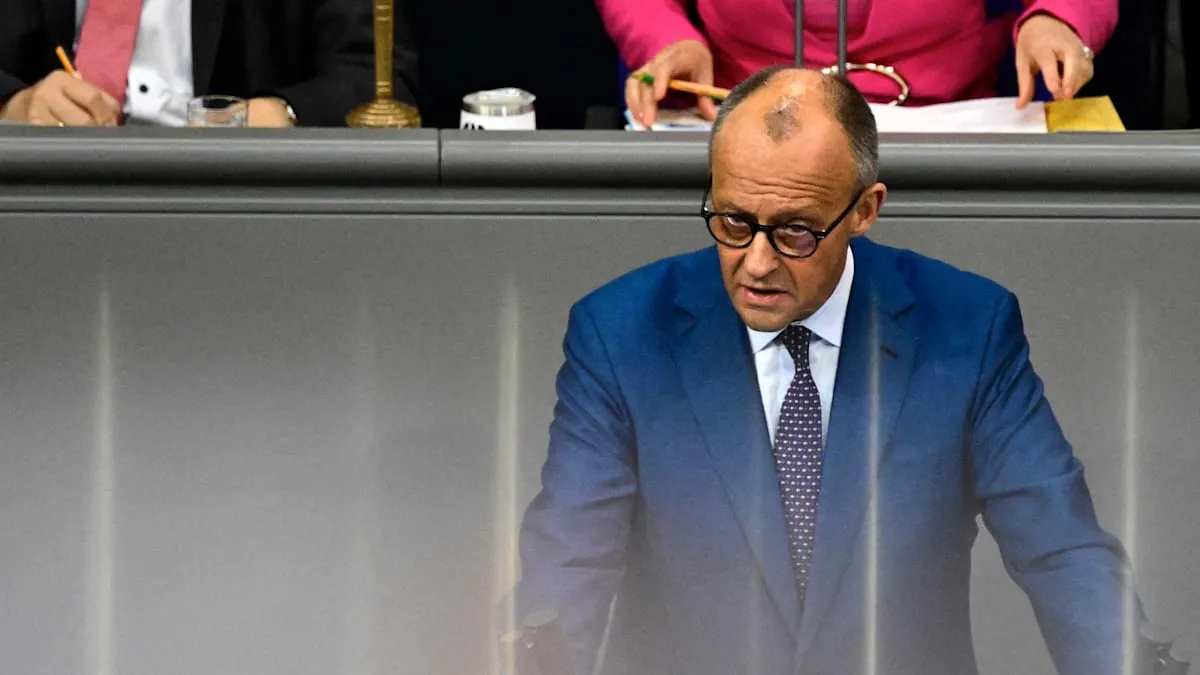 Merz Gempur AfD, Linke: Jerman Terancam Jurang Perpecahan Nasional