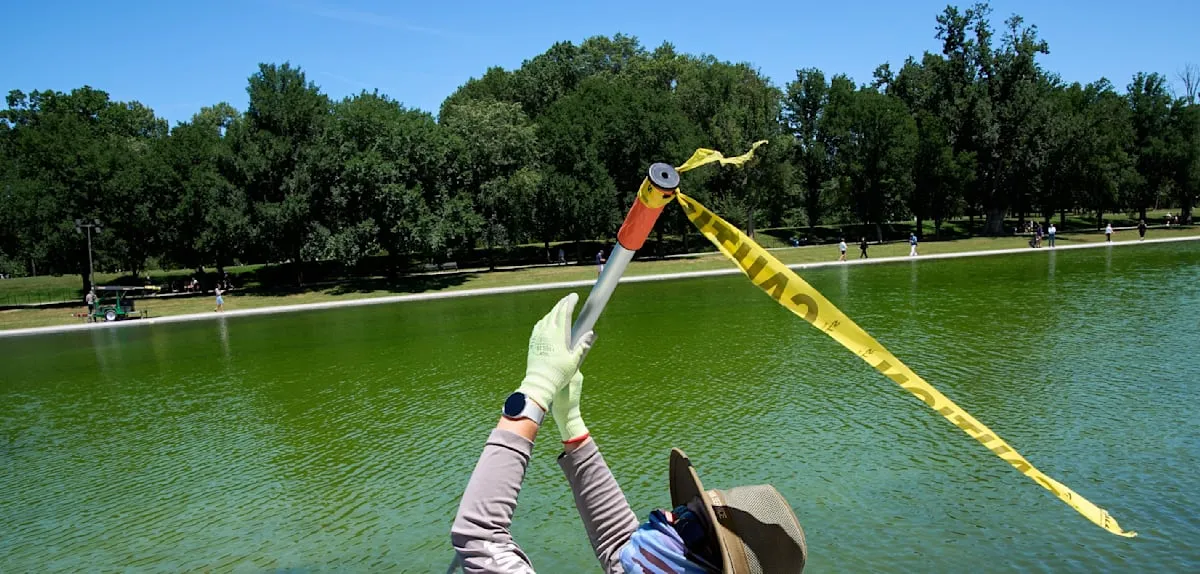 Washington's Reflecting Pool Damage Unveiled: No Political Sabotage, Just Construction Error