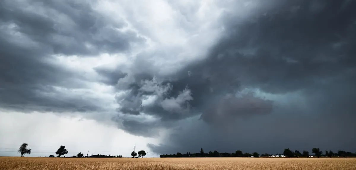 Brutal German Storm: Two Teenagers Critical, Falling Tree Crushes Truck