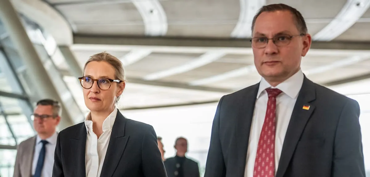 Mantan Hakim Konstitusi Guncang Jerman: AfD Terancam Dilarang Diam-diam?