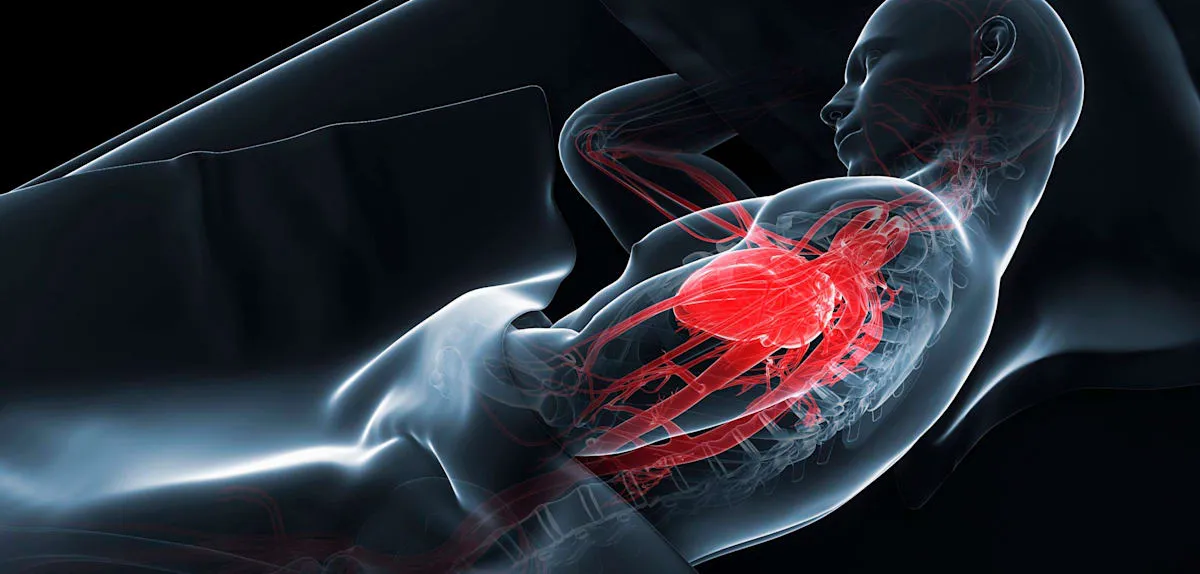Nighttime Breathing Pauses: The Unveiling Threat to Men's Heart and Erectile Health
