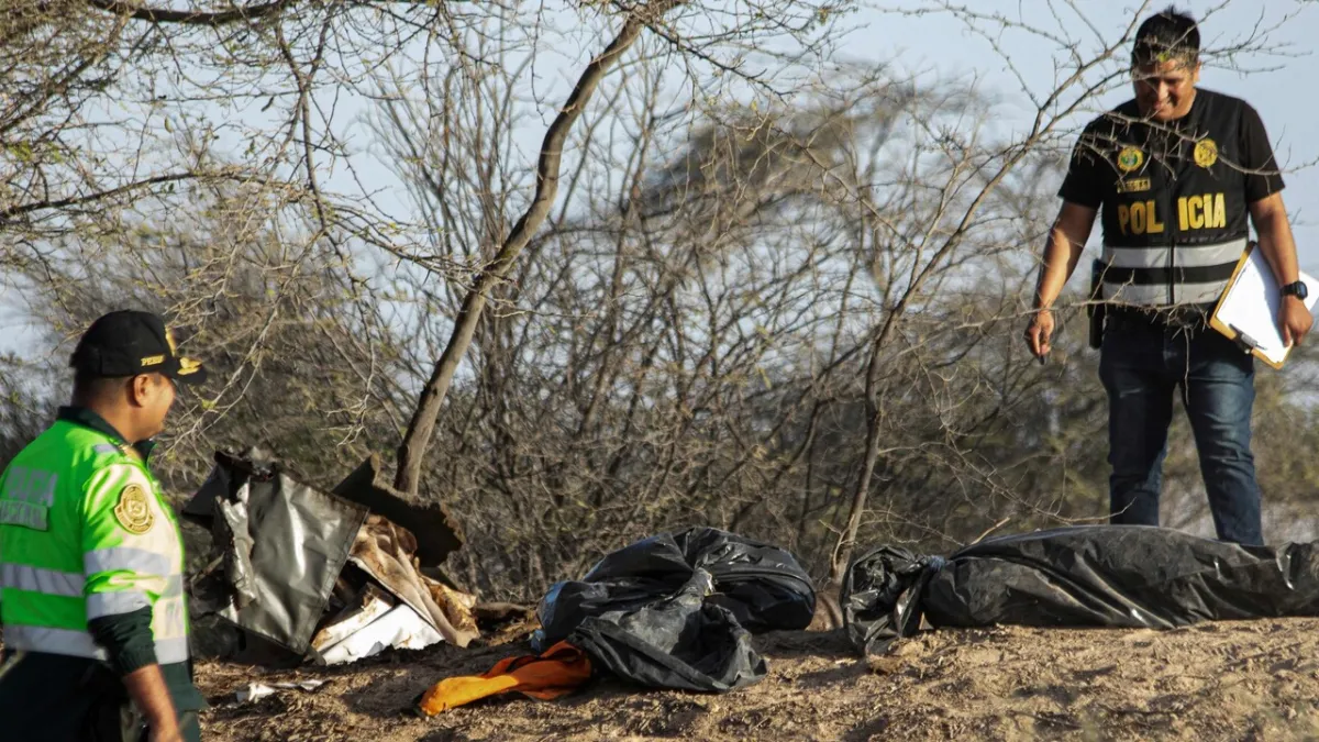 Nazca Sky Mystery: Seven Italian Tourists Dead in Plane Tragedy