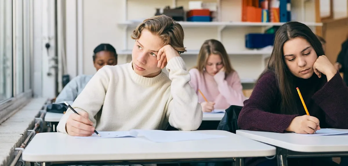 Germany on the Brink: Education Crisis Threatens National Industry Future