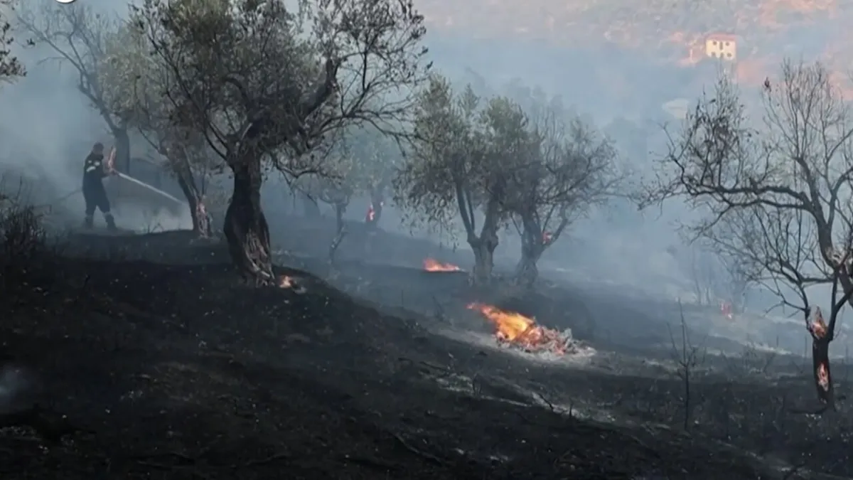 Greece Ablaze: Three Firefighters Dead Amidst Devastating Lesbos Blazes