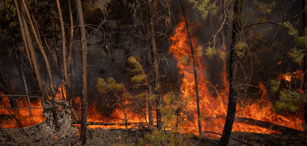 Spain Engulfed by Flames: Hundreds Evacuated as Strong Winds Impede Firefighting
