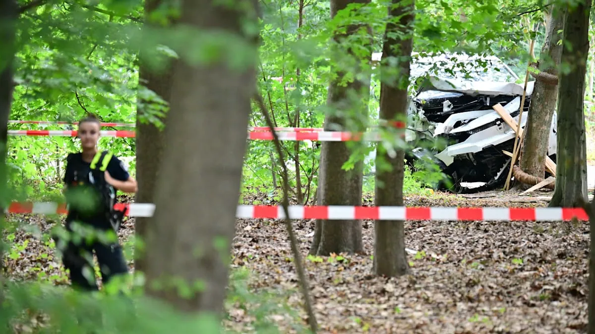 Lars Winkelsdorf: CSD Berlin Security Deemed Successful Despite Terror Attack