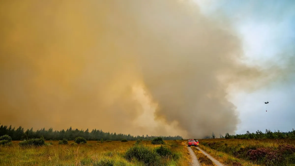 Germany on High Alert: Massive Forest Fire Nears Belgian Border