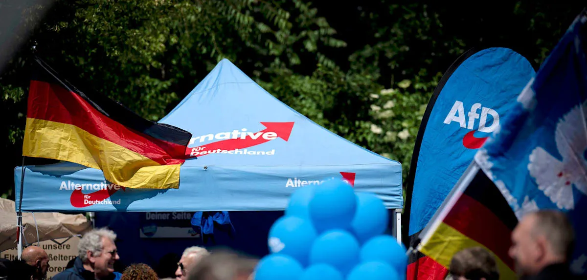 AfD Politician Exposes Party Internal Scandal, Dismissal Threat Looms