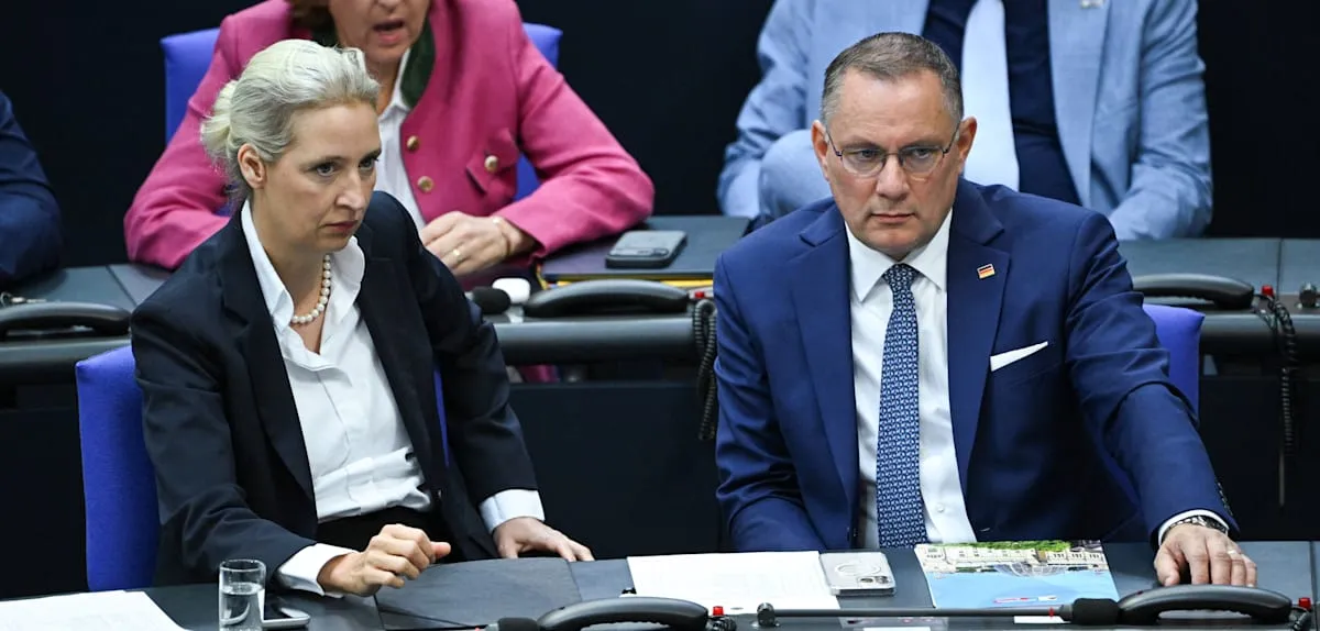 Jerman Bergolak: Dukungan AfD Anjlok, Reformasi Pemerintah Dikritik Publik