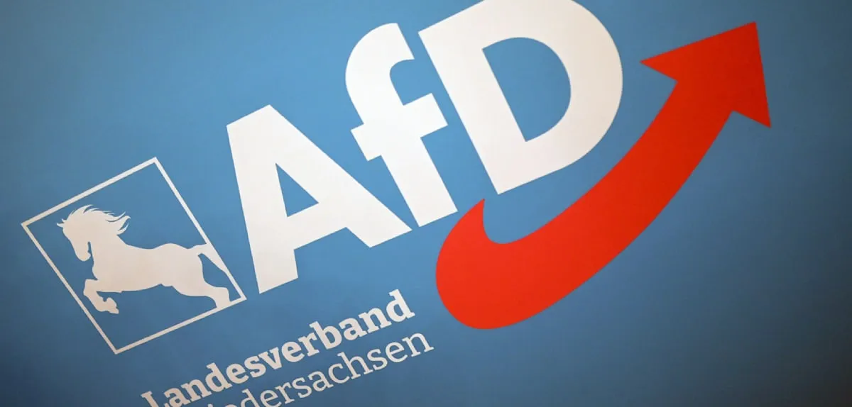 German Political Scandal: Two AfD Candidates Disqualified, Other Nominations Under Scrutiny