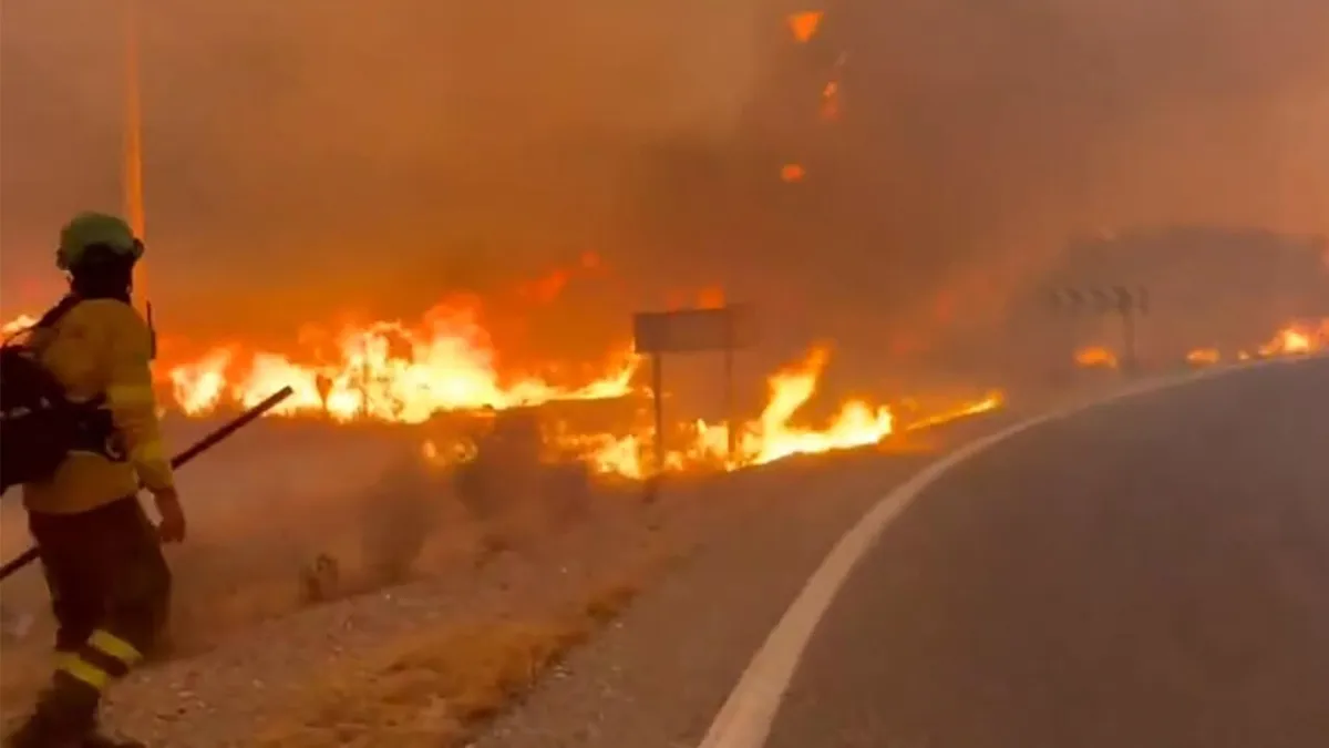 Tragedi Maut Andalusia: Kebakaran Hutan Jebak Belasan Jiwa, Puluhan Hilang